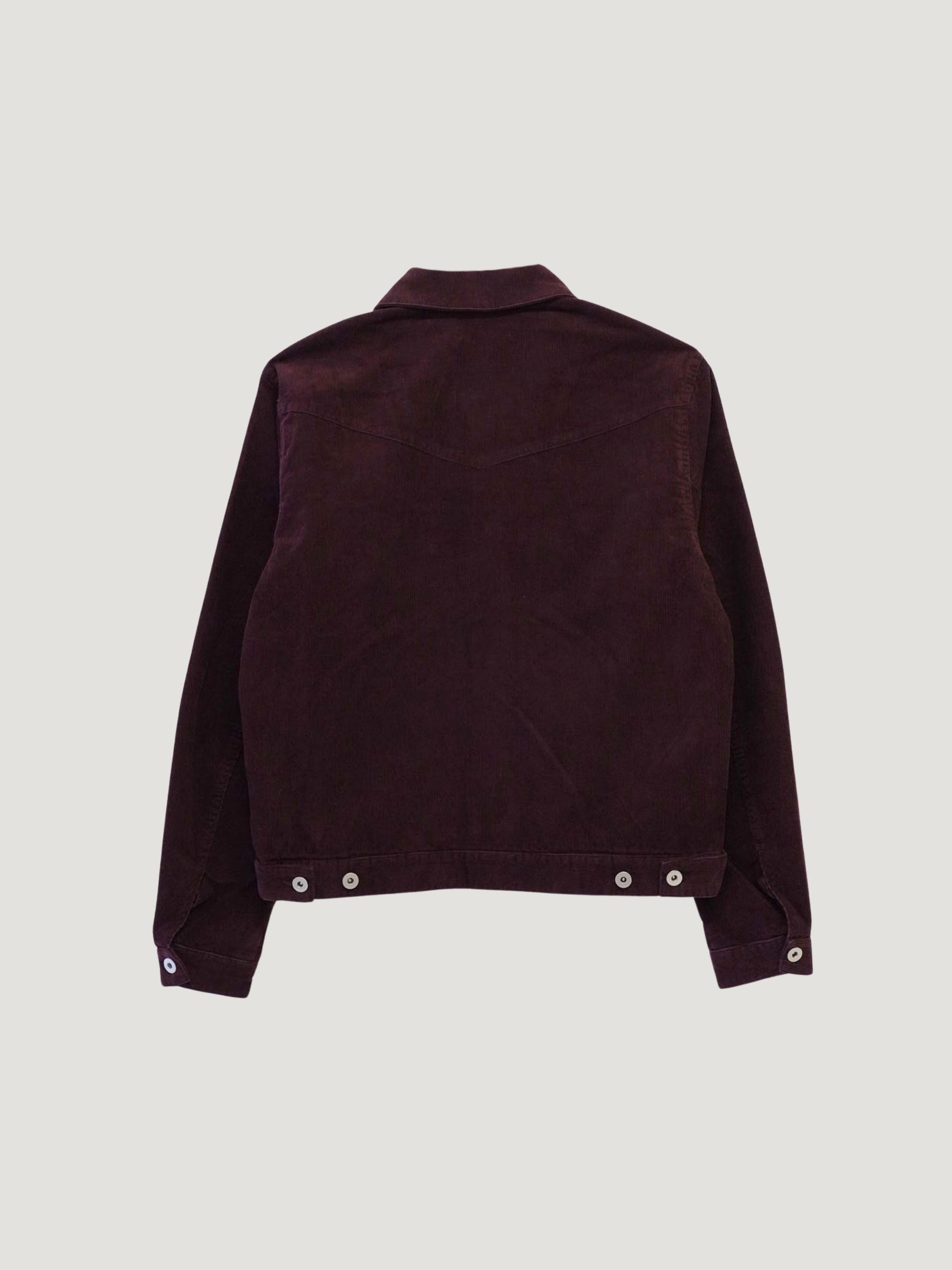 50_1c32a6a7-daf7-4af4-8928-